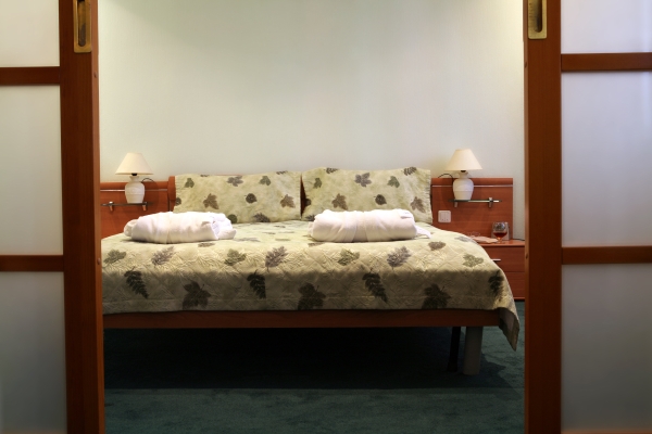 Hotel Gavan (Vladivostok)
